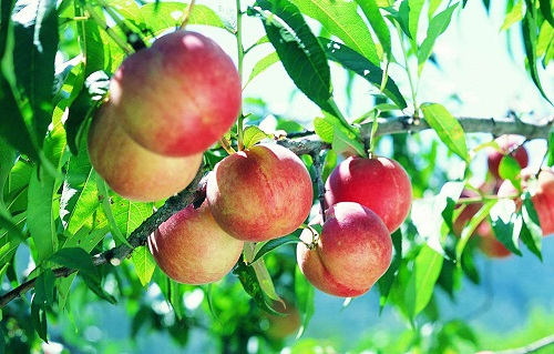 1644990053188262.png image.png