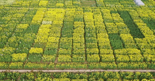 1655260633145565.png image.png