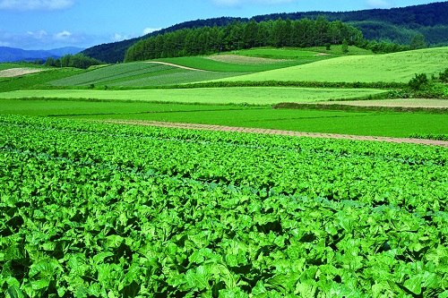 1657595276443901.png image.png