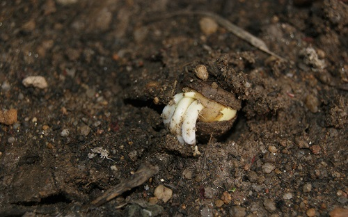 1657681916164510.png image.png