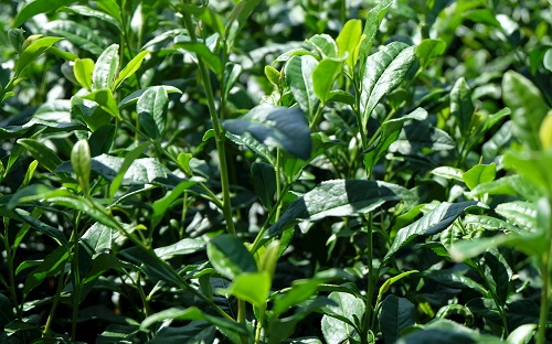 1669011384133999.png image.png