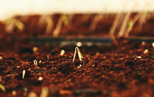 1675662641154343.png image.png