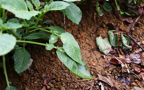 1675920155123368.png image.png