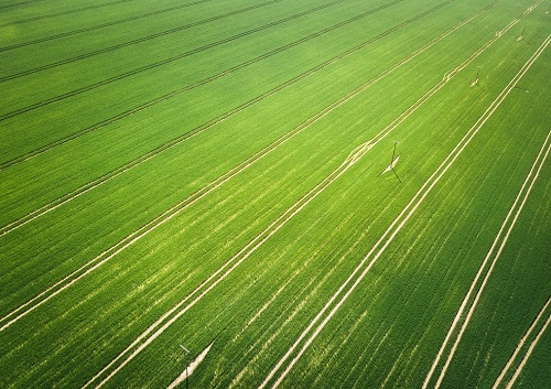 1677821441195615.png image.png